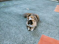 -水都餐厅