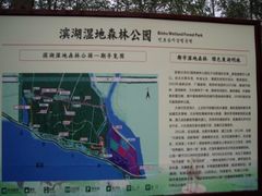 -合肥滨湖国家森林公园