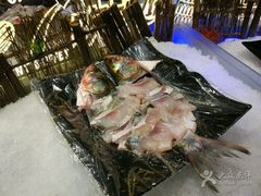 -欢乐牧场(T12店)
