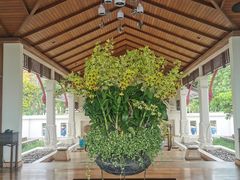 -芭堤雅度假村洲际酒店 - IHG 旗下酒店