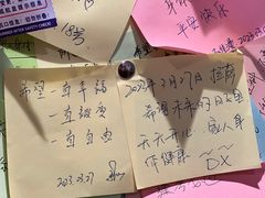 -古树酸奶(八廓南街店)