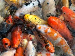 -龙达温泉生态城