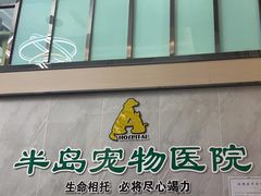 -半岛宠物医院24小时(科华中路店)