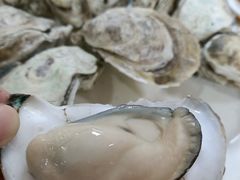 -蚝专家(北滘店)