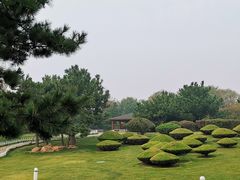 -日照灯塔风景区