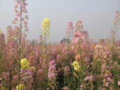 -中国天府农业博览园