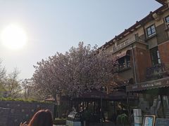-天津意大利风情旅游区