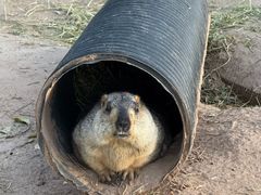 -鄂尔多斯野生动物园