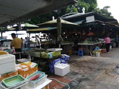 -南沙十九涌渔人码头-南门