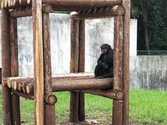 -合肥野生动物园