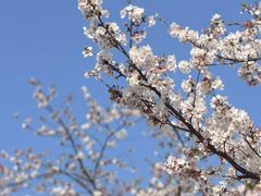 -龙美术馆(西岸馆)