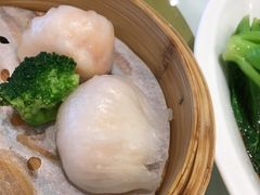 -威哥美食(迈科国际店)