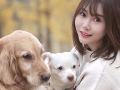-逗柴咖啡屋·狗咖猫咖宠物桌游
