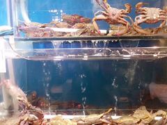 -喜悦小串海鲜烧烤大排档(高新万达店)