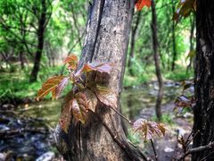 -碓臼峪自然风景区