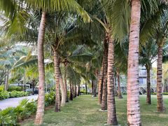 -三亚海棠湾万丽度假酒店