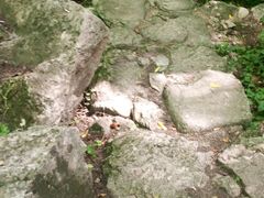 -王顺山国家森林公园