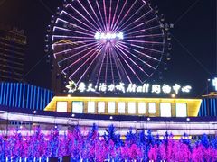 -摩天活力城·摩天轮