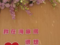 -海底捞火锅(珠影星光城夜宵主题店)