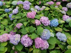 -苏州河梦清园环保主题公园