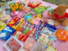 -蒲河岛湿地公园