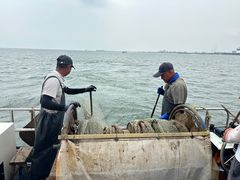 -日照世帆赛基地