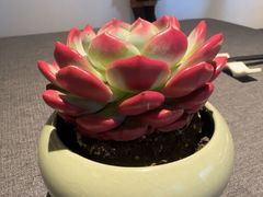 -喜湘宴·精致湖南菜(和平西桥店)