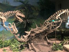 -自贡恐龙博物馆