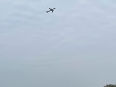 -空港花田景区