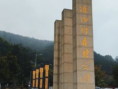 -铁山坪森林公园