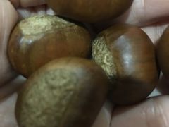 -金栗王(清扬路店)