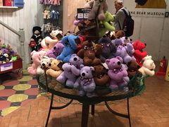 -济州岛泰迪熊博物馆