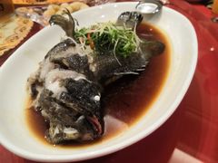 -金鮀岛潮州酒家