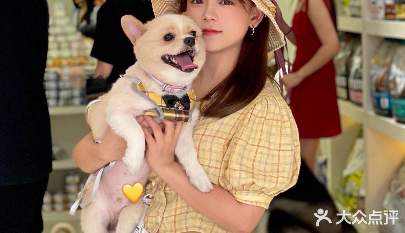 重庆探店丨重庆宠物店天花板罐头还五折❗🐶