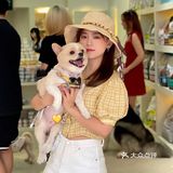 重庆探店丨重庆宠物店天花板罐头还五折❗🐶