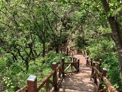 -大岭沟猕猴桃谷风景区