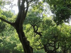-晓港公园