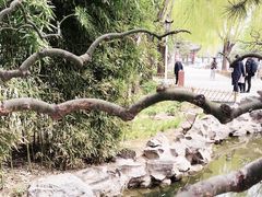 -海棠花溪(元大都城垣遗址公园)
