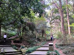 -杭州植物园