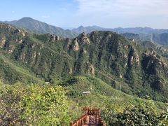 -大岭沟猕猴桃谷风景区