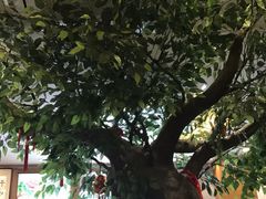-金牌餐厅·天津菜·八珍豆腐·老爆三(瓷房子店)
