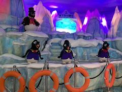 -帝企鹅自助餐厅•儿童岛•真企鹅(长隆企鹅酒店)