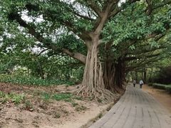 -南沙蒲洲花园
