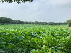 -上膳源有机农场