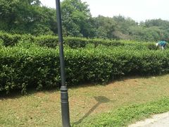 -雨花台烈士纪念馆