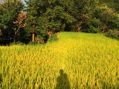 -公盂村