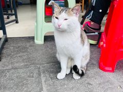 -肇兴特色牛肉粉