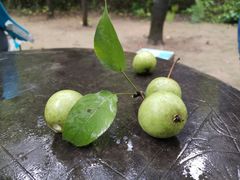 -开元溶洞