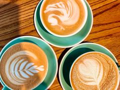 -Apollo·西班牙小酒馆(安福路店)