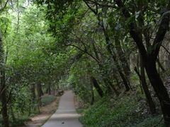 -赭山公园